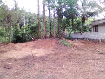 98  Cent Residential Land for Sale at Muringur Vadakkummuri Budget - 125000 Cent