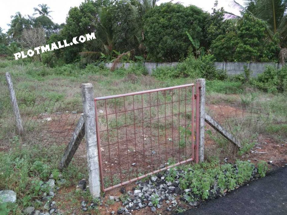 Residential Land For Sale