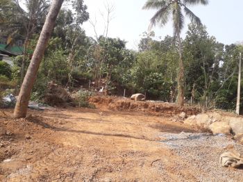 6 Cent Residential Land for Sale at Athani Budget - 260000 Cent
