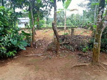 24 Cent Residential Land for Sale at Thuruthy Budget - 160000 Cent