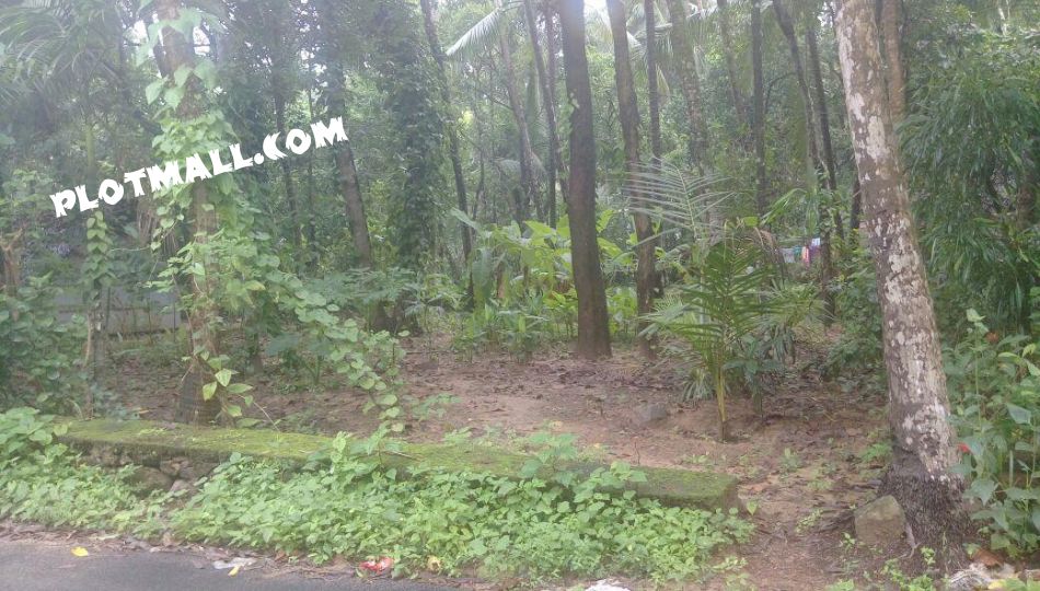 Residential Land For Sale