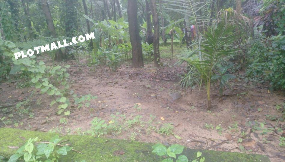 Residential Land For Sale