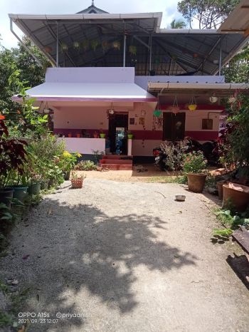 15 Cent Residential Land for Sale at Trivandrum Budget - 800000 Cent