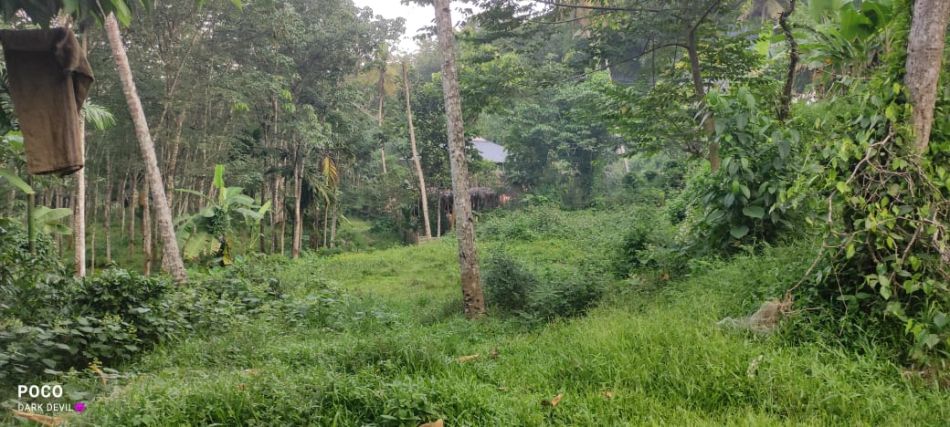 Residential Land For Sale