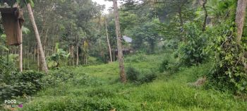 47 Cent Residential Land for Sale at Thiruvalla Budget - 3196000 Total