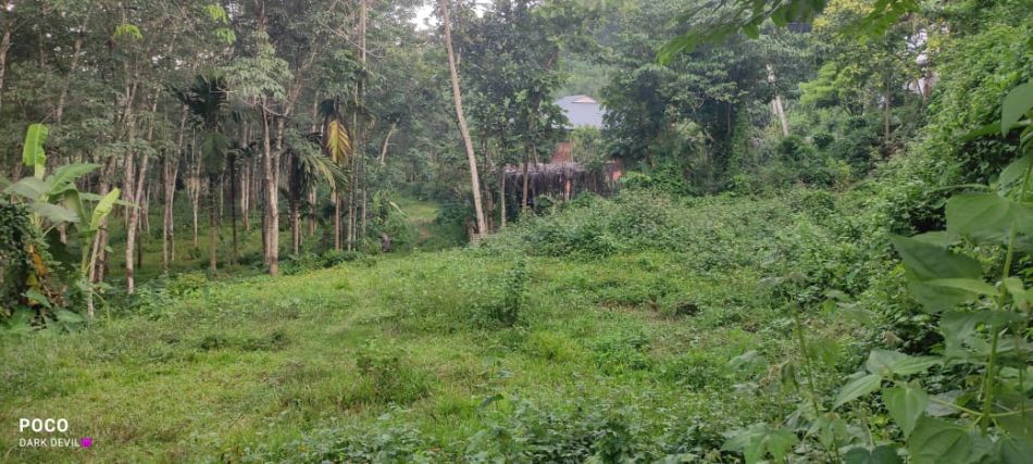 Residential Land For Sale