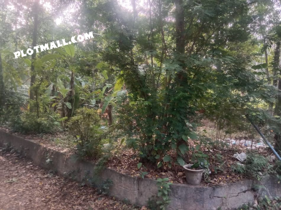 Residential Land For Sale