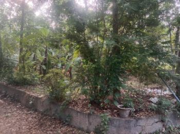 4 Cent Residential Land for Sale at Chaliyam Budget - 600000 Cent