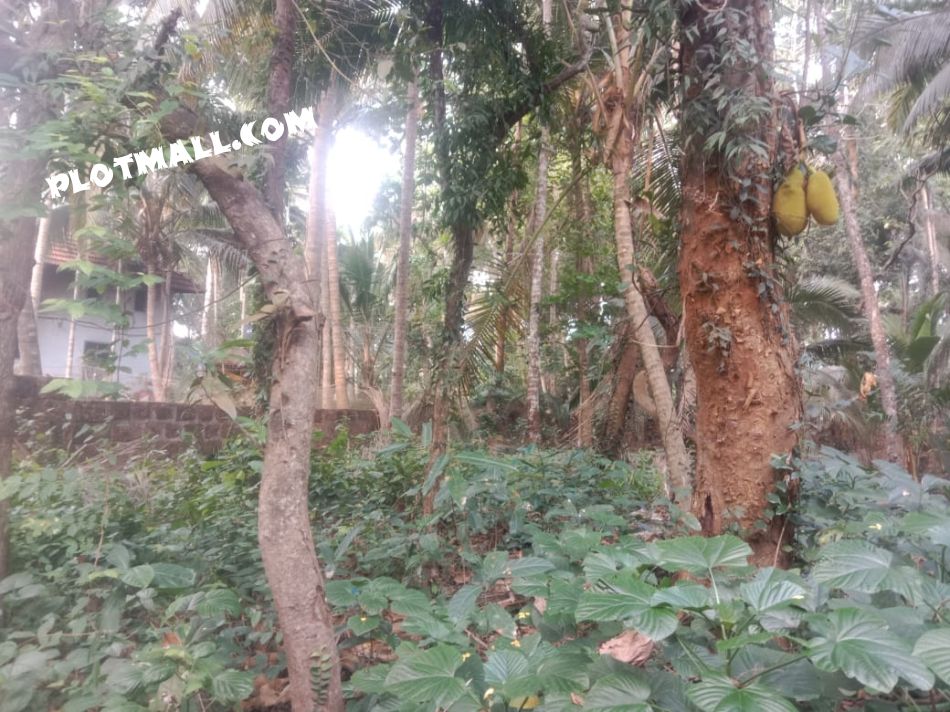 Residential Land For Sale