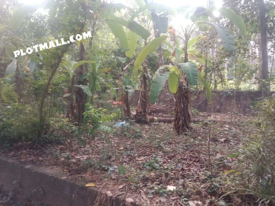 Residential Land For Sale