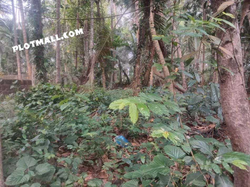 Residential Land For Sale