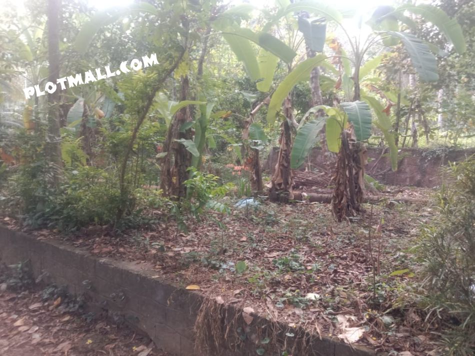 Residential Land For Sale