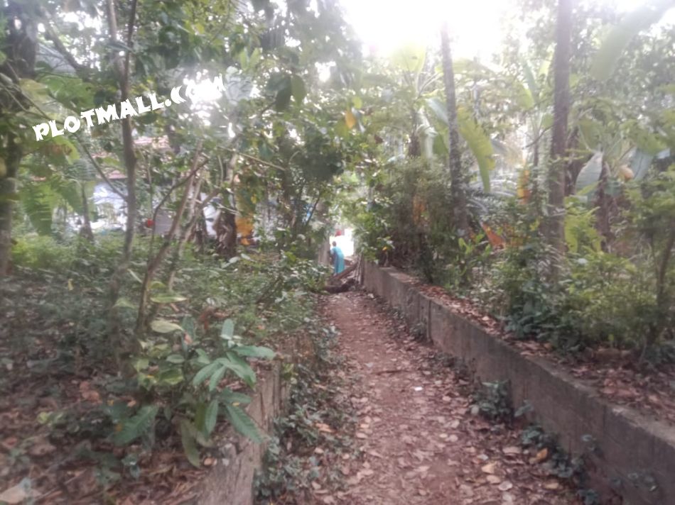 Residential Land For Sale