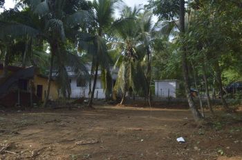 10 Cent Residential Land for Sale at Thrissur Budget - 150000 Cent