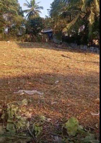 20 Cent Residential Land for Sale at Palakkad Budget - 300000 Cent