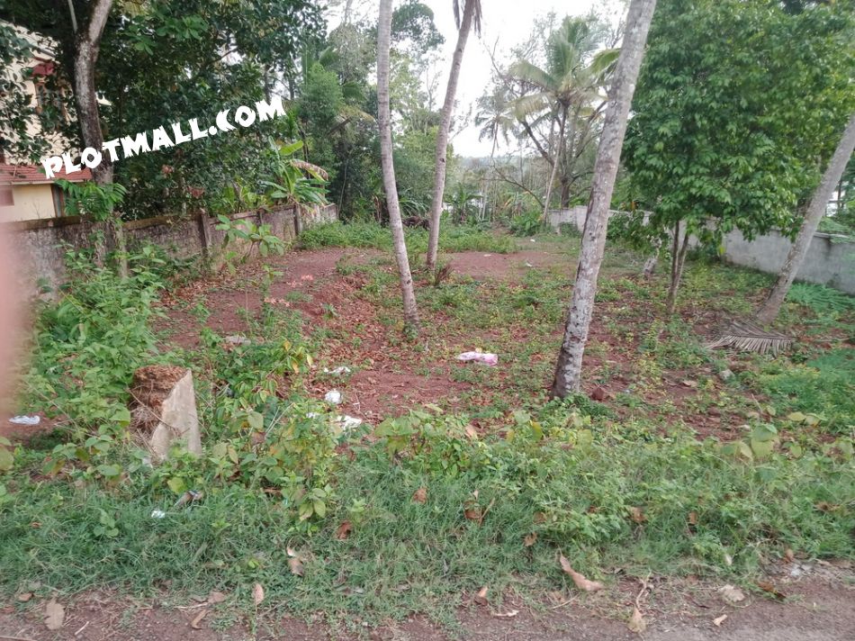 Residential Land For Sale