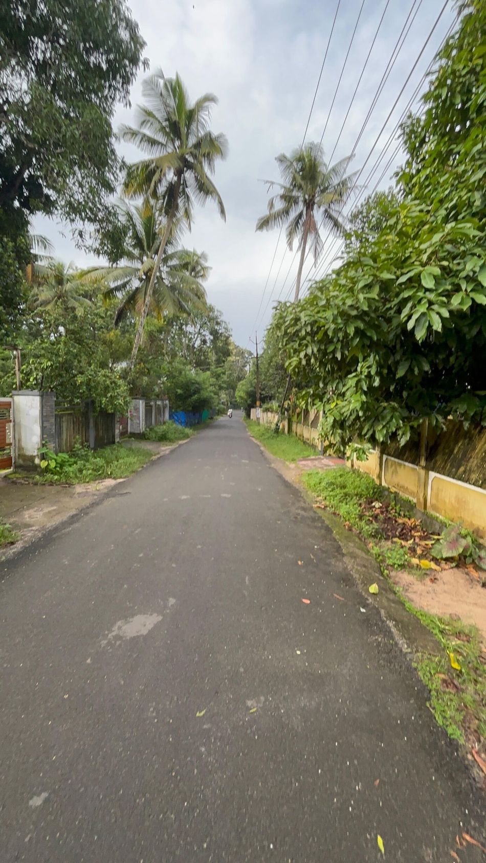 Residential Land For Sale