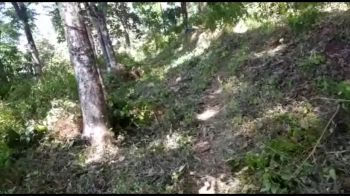 80 Cent Residential Land for Sale at Vechoochira Budget - 8500000 Total