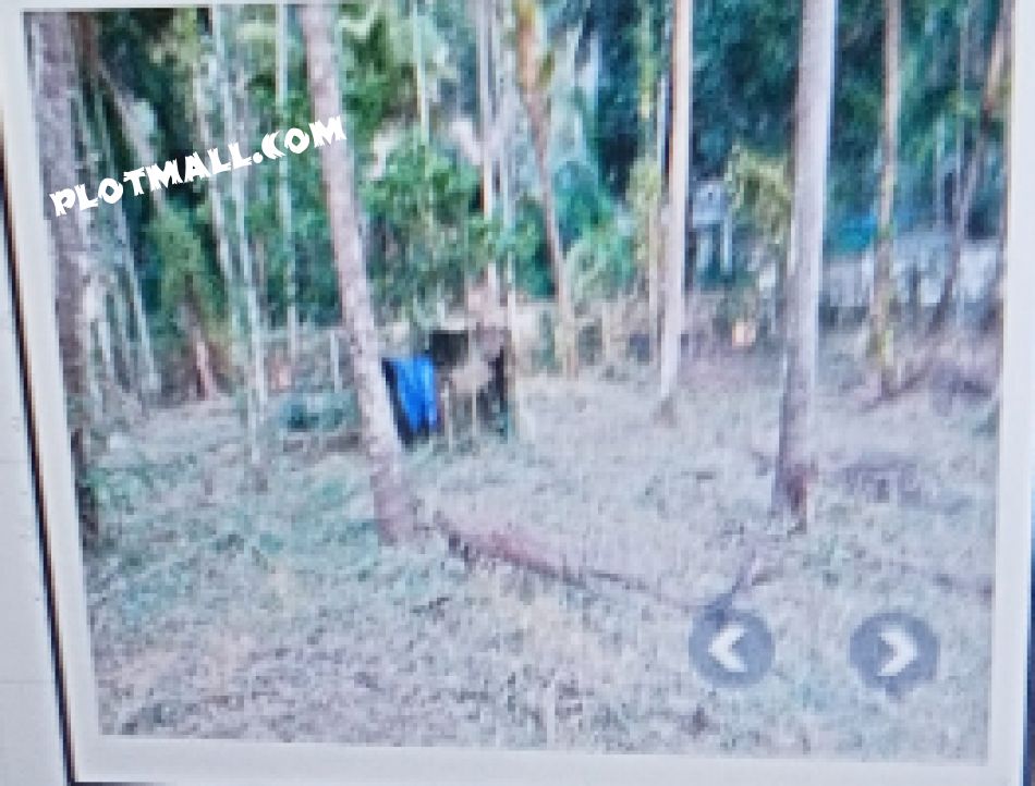 Residential Land For Sale