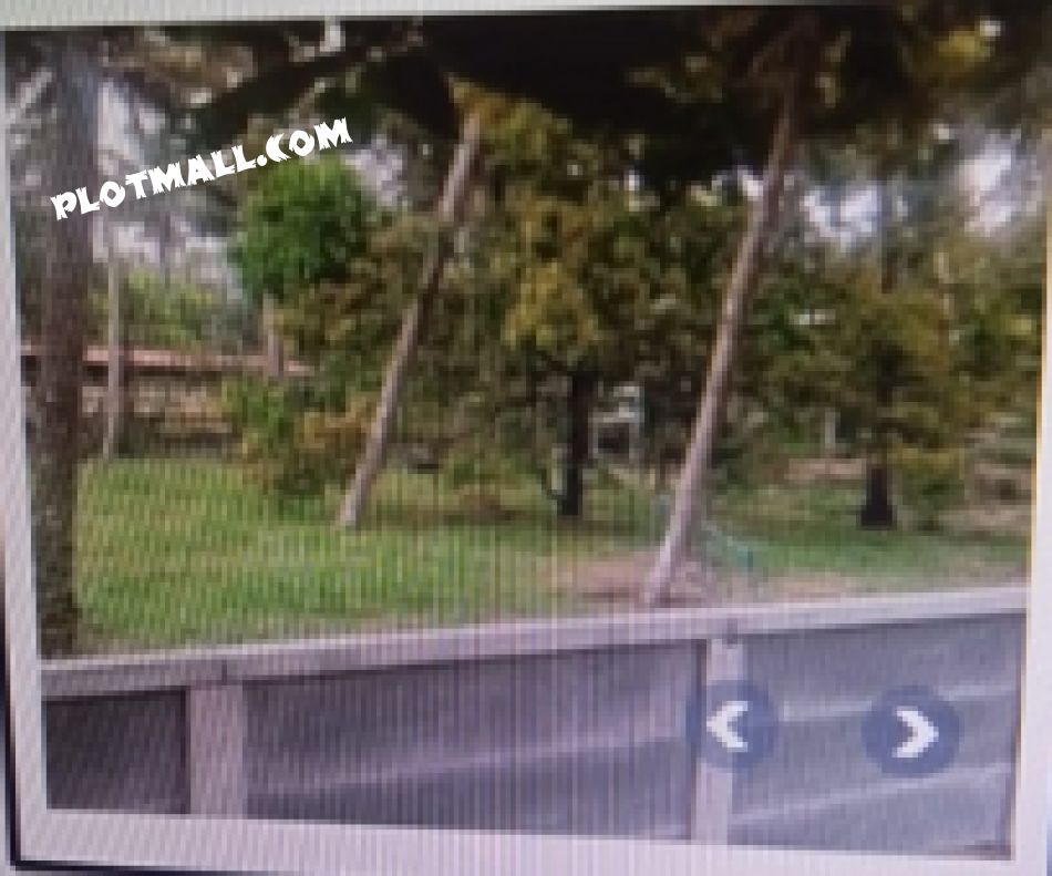 Residential Land For Sale