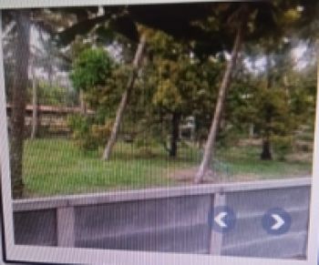 36.5 Cent Residential Land for Sale at Koratty Budget - 7500000 Total