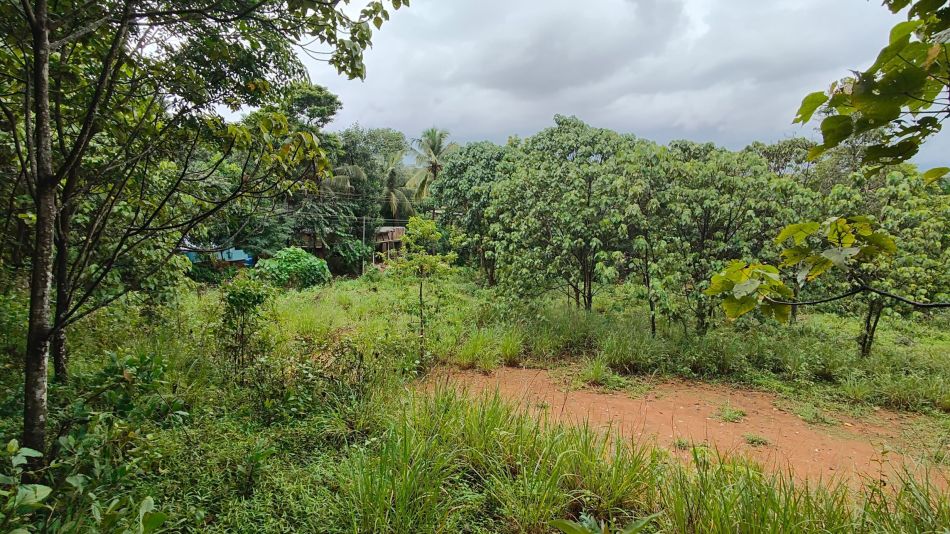 Residential Land For Sale