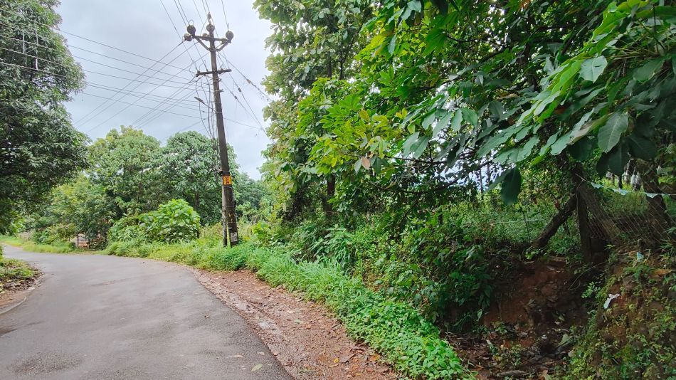 Residential Land For Sale