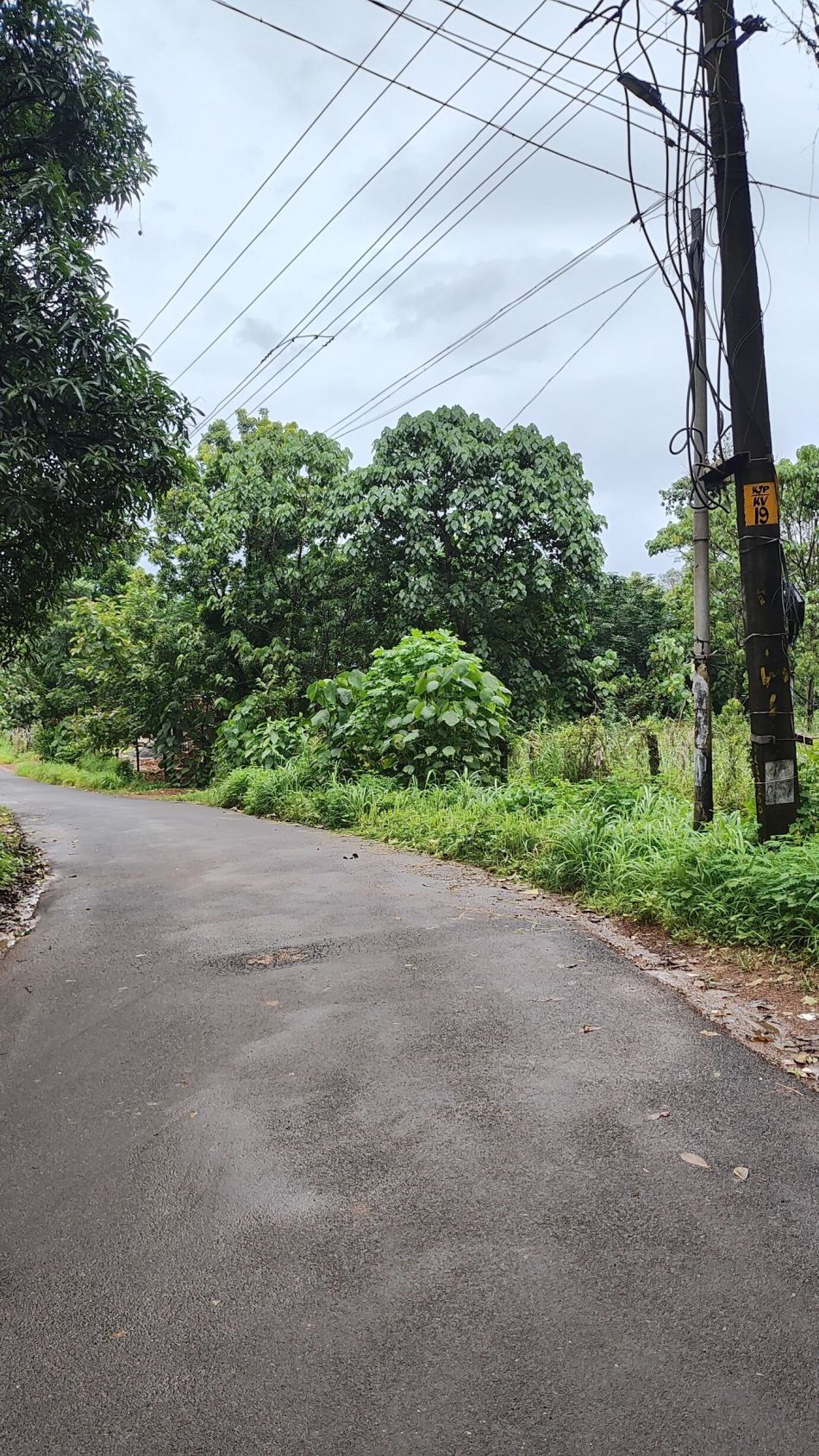 Residential Land For Sale