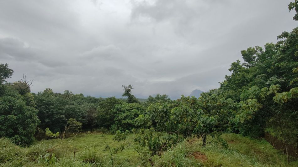 Residential Land For Sale