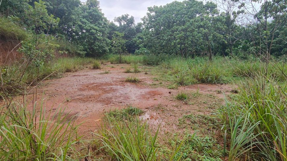 Residential Land For Sale