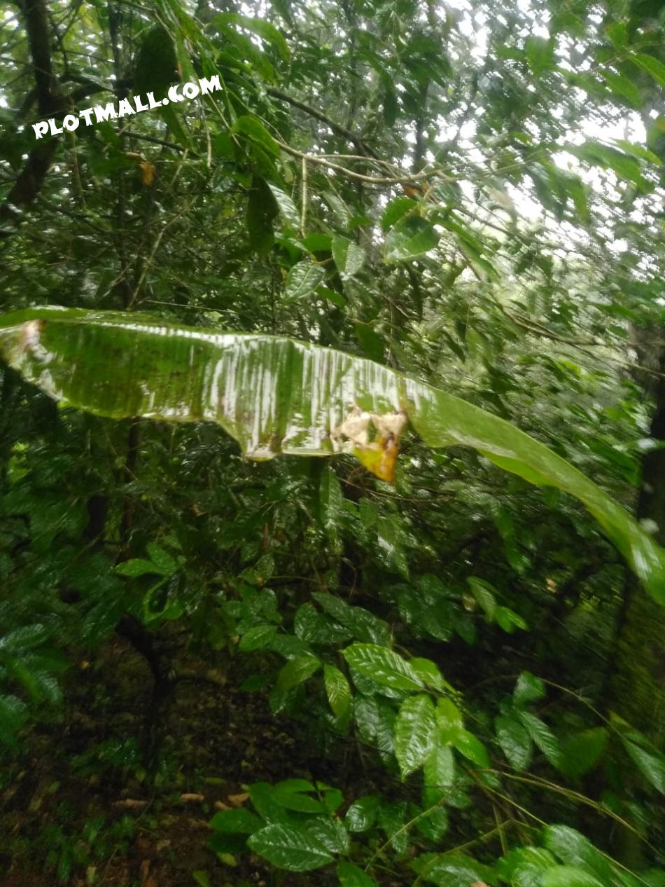 Residential Land For Sale